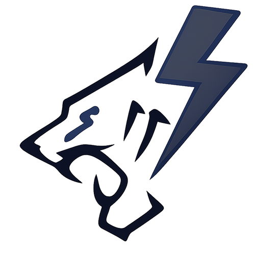 فروشگاه تخصصی باتری اورجینال
